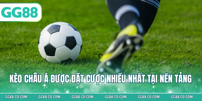 Kèo châu Á được đặt cược nhiều nhất tại nền tảng